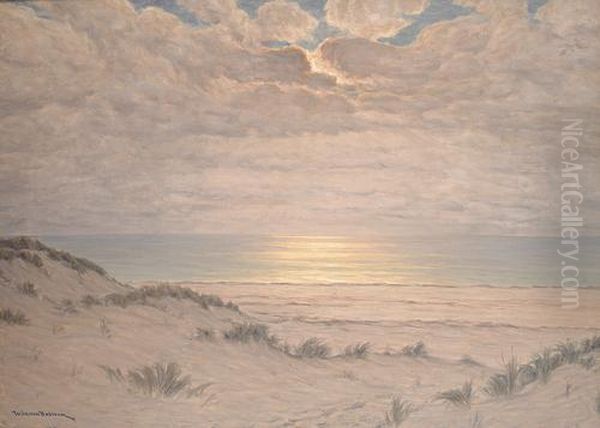 Coastal Landscape With Setting Sun - view 1