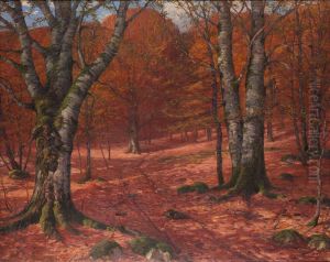 Bokskog. by Wilhelm Dahlbom