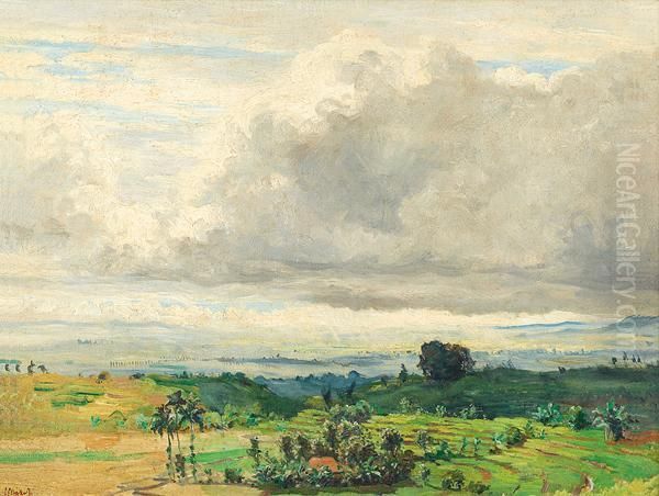 Landscape - view 1
