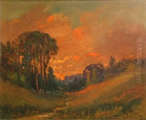 Marin Landscape At Sunset