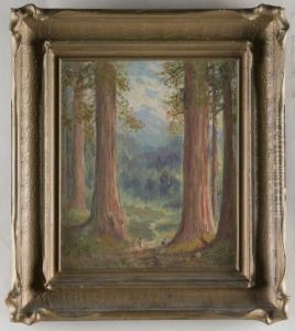Redwoods
