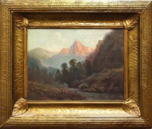 Where Wilderness Is Beauty by Tilden Dakin