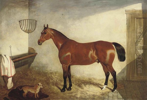 A Bay Hunter In A Stable - view 1