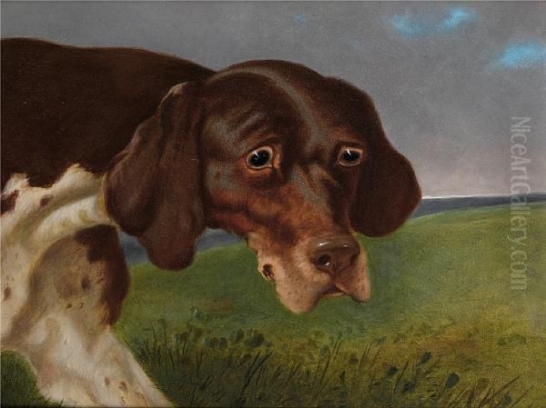 A Portrait Of A Brown And White Pointer; A Portrait Of A Black And White Pointer - view 1