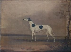 A Portrait Of The Greyhound 'newton'