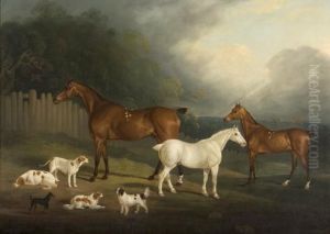 A Favourite Hunter by David of York Dalby