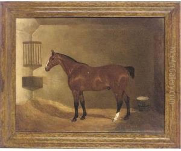 A Bay Hunter In A Stable - view 1