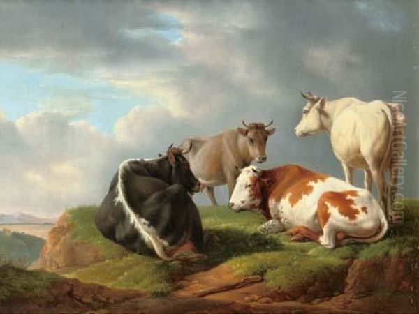 Cattle In A Sunlit Field - view 1
