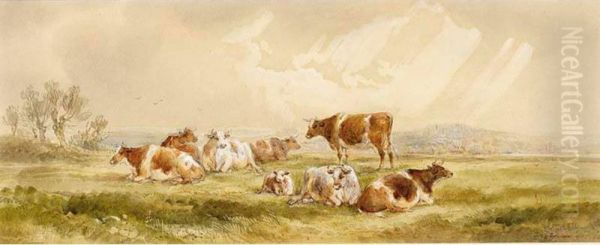 Resting Cows - view 1