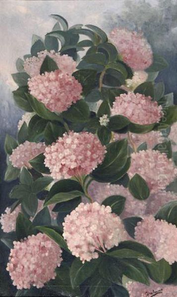 Hortensias - view 1