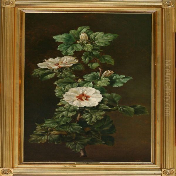 A Floweringhibiscus Branch - view 1
