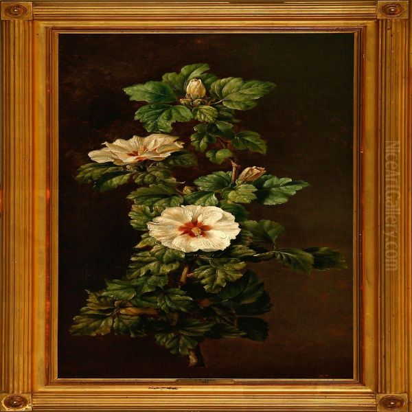A Flowering Hibiscus Branch - view 1