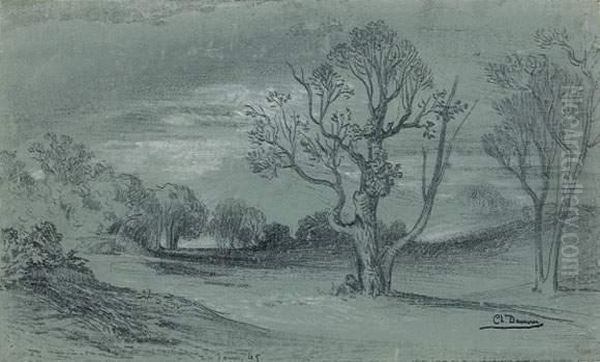 Paysage - view 1