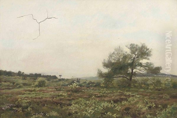 Paysage - view 1
