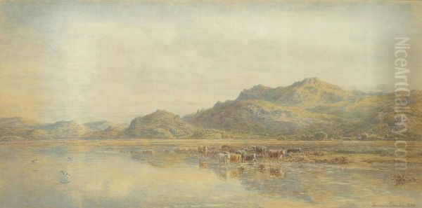 Cattle Watering Before The Arthog Hills, Near Barmouth - view 1