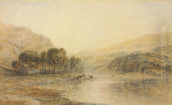 Cattle Watering At A River - view 1