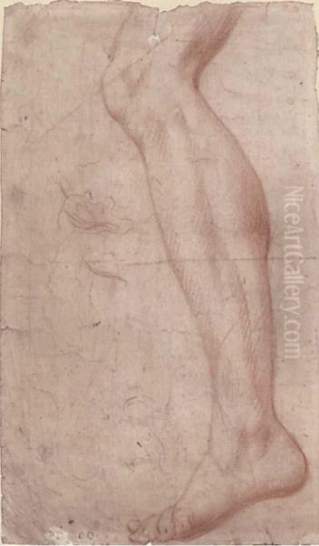 Study Of A Leg - view 1