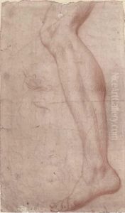 Study Of A Leg