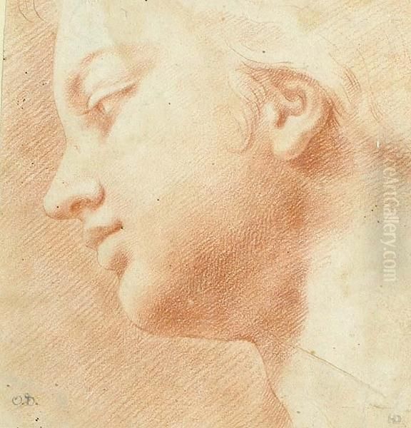 Profile Head Of A Youth Turned To The Left - view 1
