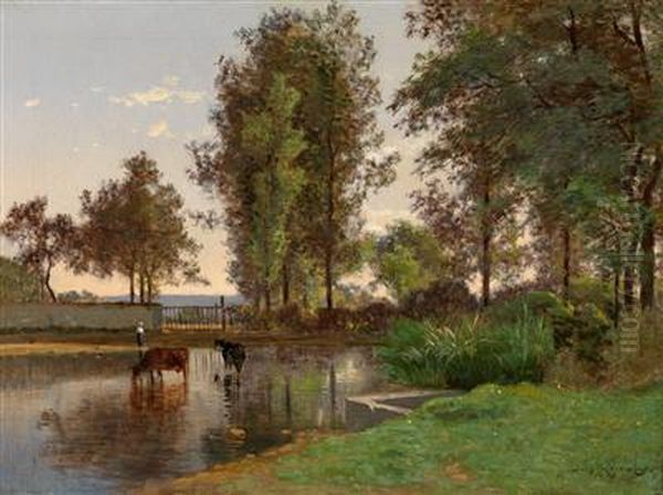 Teich In Sommerlicher Landschaft - view 1