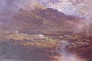 A Splash On The Moor And The Wind In Your Face, Near Kinlochewe, Ross-shire A Splash On The Moor And The Wind In Your Face, Near Kinlochewe, Ross-shire