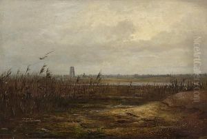 Cove Hithe Broad