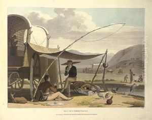African Scenery And Animals At The Cape Of Good Hope