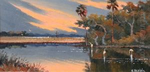 Sunset Backwater Scene With
Birds by William Daniels