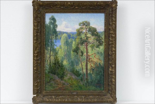 Nakyma Jarvelle - Vy Over Sjon. - view 1