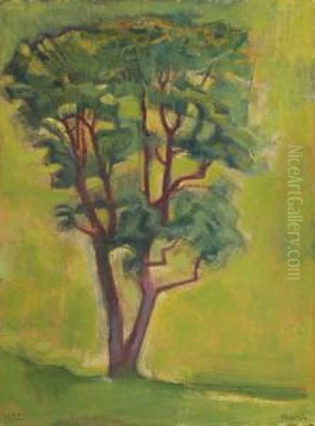 Baum - view 1