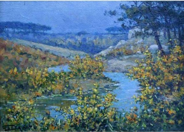 Ajoncs Fleuris - view 1