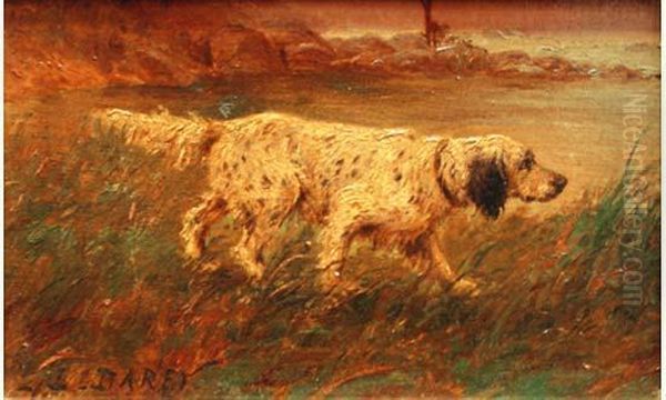 Chien A L'affut. - view 1