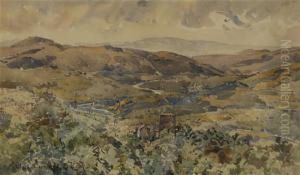 View Of Ruisseau De Cernitojo by Edward Darley Boit