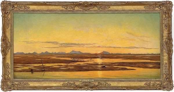 Sunset On The Marshes - view 1