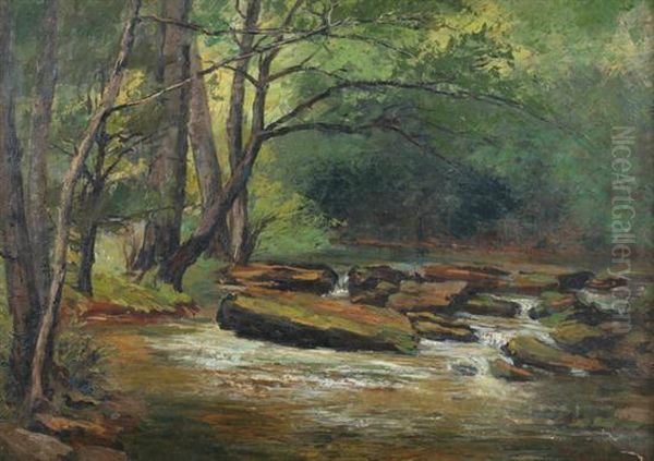 Rocky Stream - view 1