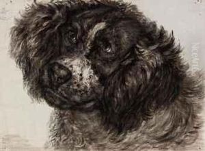 Study Of A Dutch Partridge Dog Study Of A Dutch Partridge Dog