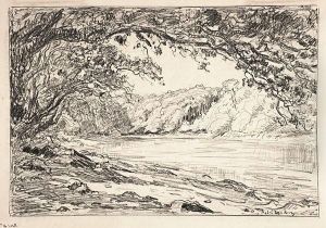 Bords De L'odet Sous Les Arbres