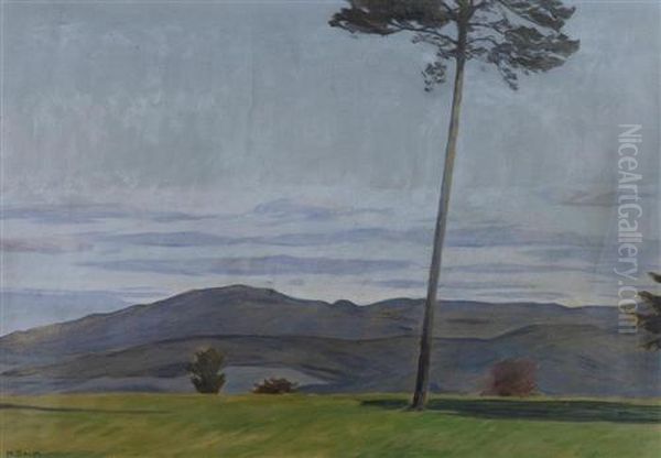 Der Blauen. 1907. - view 1