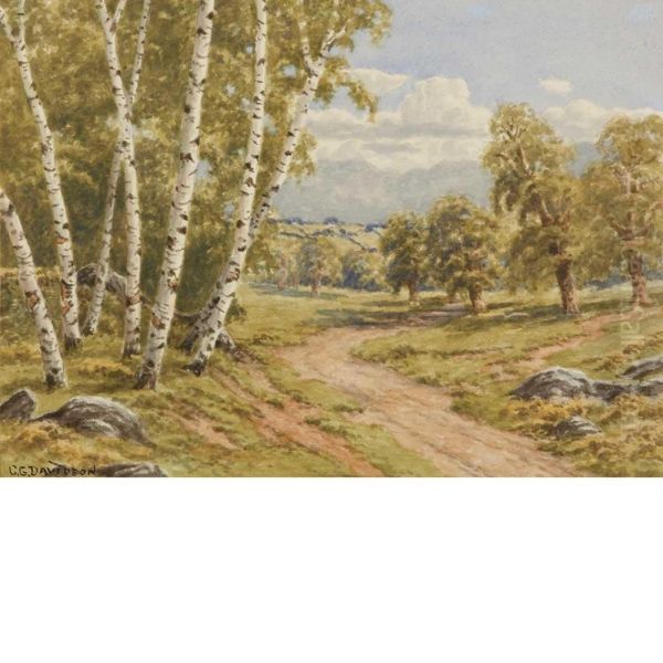 Birch Trees - view 1