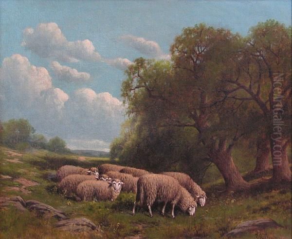 A Pastoral Landscape With Sheep - view 1