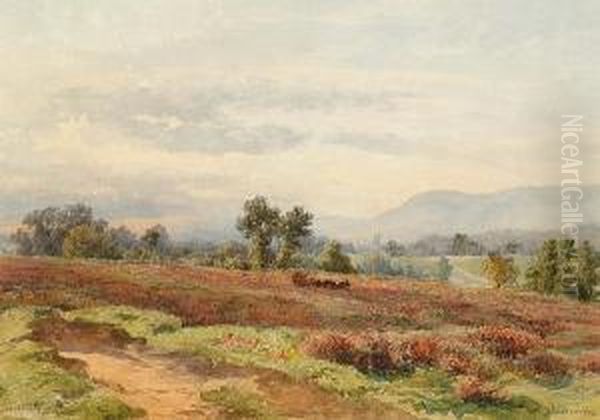 Redhill Common - view 1