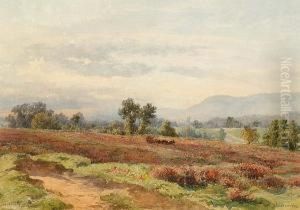 Redhill Common