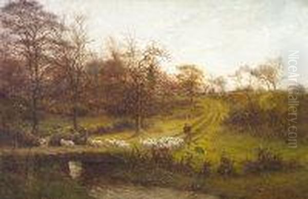 Ducks On A Lake With Cattle In Landscape - view 1