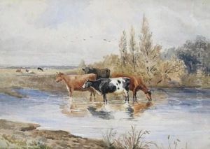 Cattle Watering By A River Cattle Watering By A River