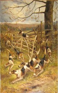 Over The Fence
