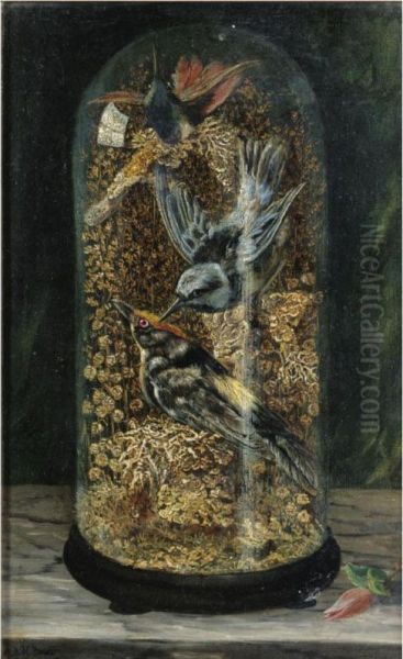 Stuffed Birds In A Dome - view 1