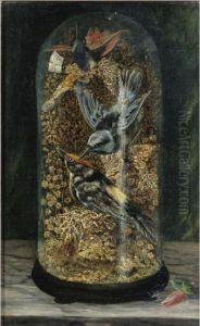 Stuffed Birds In A Dome by Arthur H. Davis