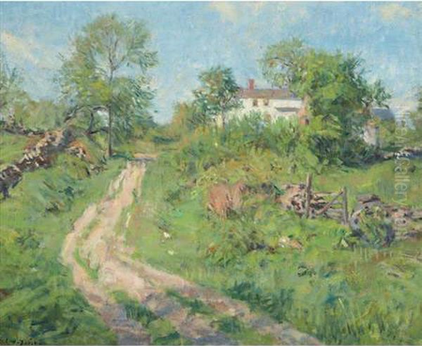 Little Road In Spring - view 1