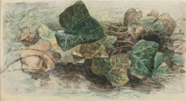 Study Of Ivy - view 1