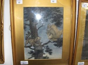 Owl Startled By A Cat In A Pine Tree